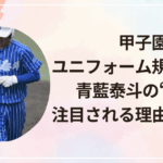 甲子園ユニフォーム規定とは？青藍泰斗の“青”が注目される理由を解説！