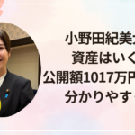 小野田紀美大臣の資産はいくら？公開額1017万円の意味を分かりやすく解説